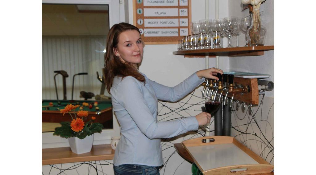 Hostel Bed & Breakfast Hostel Brno *